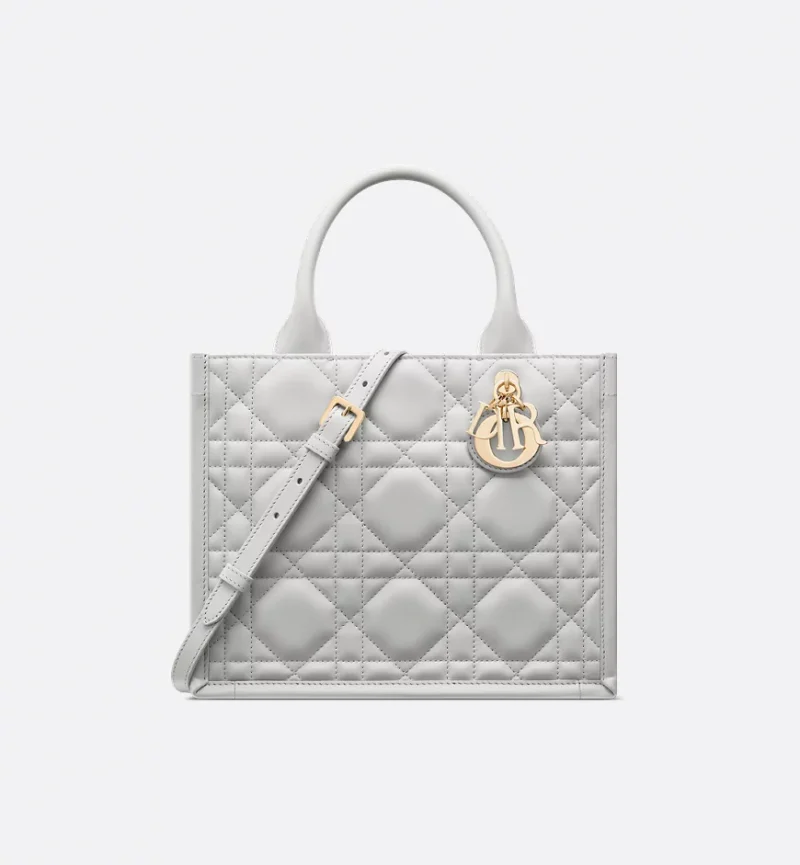 Dior Small Dior Book Tote HandBags
