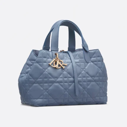 Dior Medium Dior Toujours Bag HandBags