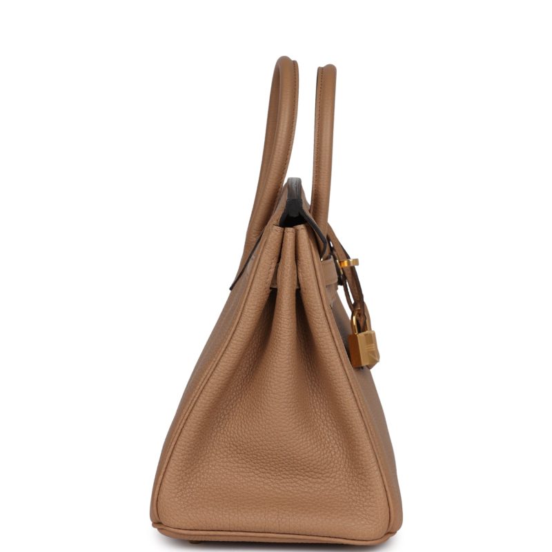 Hermes Birkin 25 Chai Togo Gold Hardware - Image 3