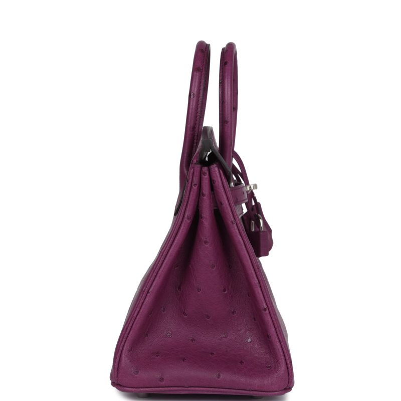 Hermes Birkin 25 Anemone Ostrich Palladium Hardware - Image 3
