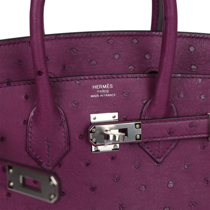 Hermes Birkin 25 Anemone Ostrich Palladium Hardware - Image 6