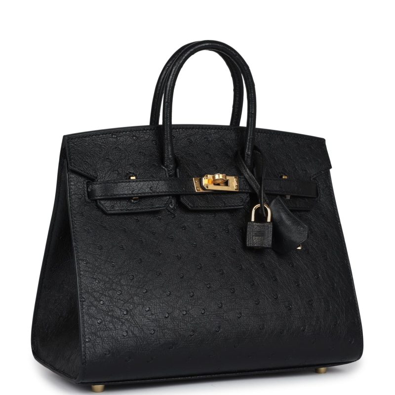 Hermes Birkin Sellier 25 Black Ostrich Gold Hardware - Image 2
