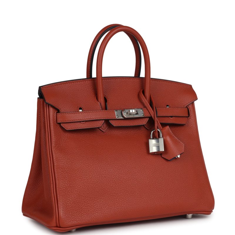 Hermes Birkin 25 Cuirve Verso Taurillon Novillo Palladium Hardware - Image 2