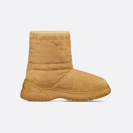Dior Frost Ankle Boot