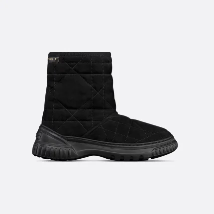 Dior Frost Ankle Boot