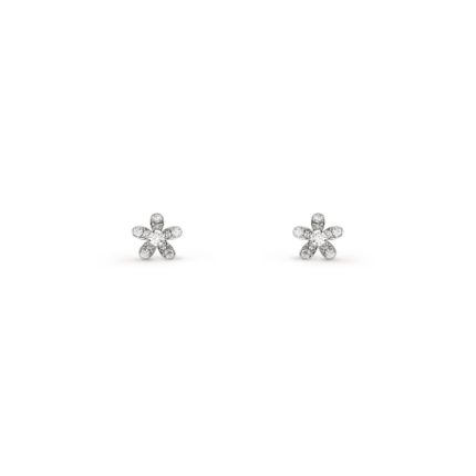 Socrate earstuds, 1 flower