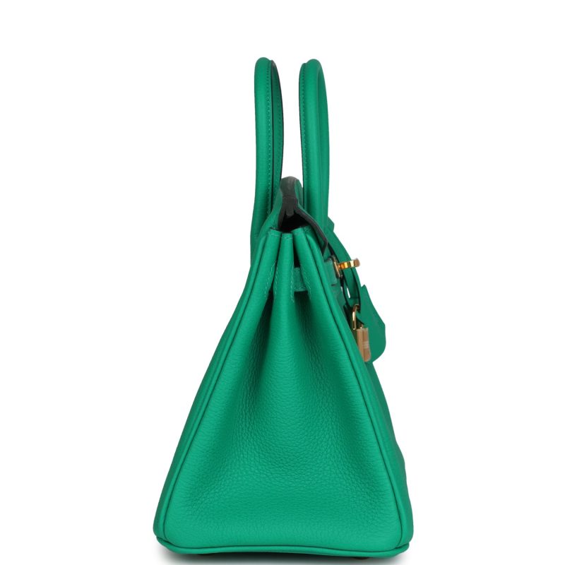 Hermes Birkin 25 Menthe Togo Gold Hardware - Image 3
