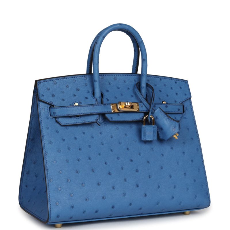 Hermes Birkin Sellier 25 Mykonos Ostrich Gold Hardware - Image 2