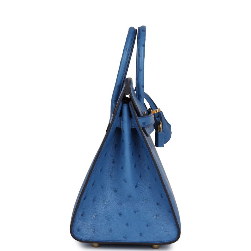 Hermes Birkin Sellier 25 Mykonos Ostrich Gold Hardware - Image 3