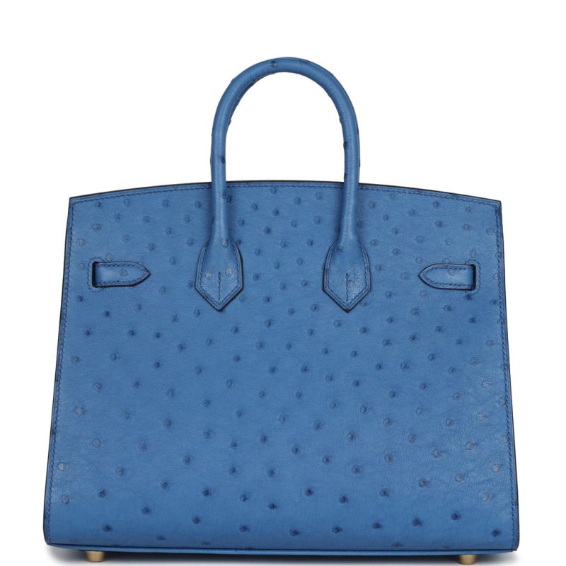 Hermes Birkin Sellier 25 Mykonos Ostrich Gold Hardware - Image 4