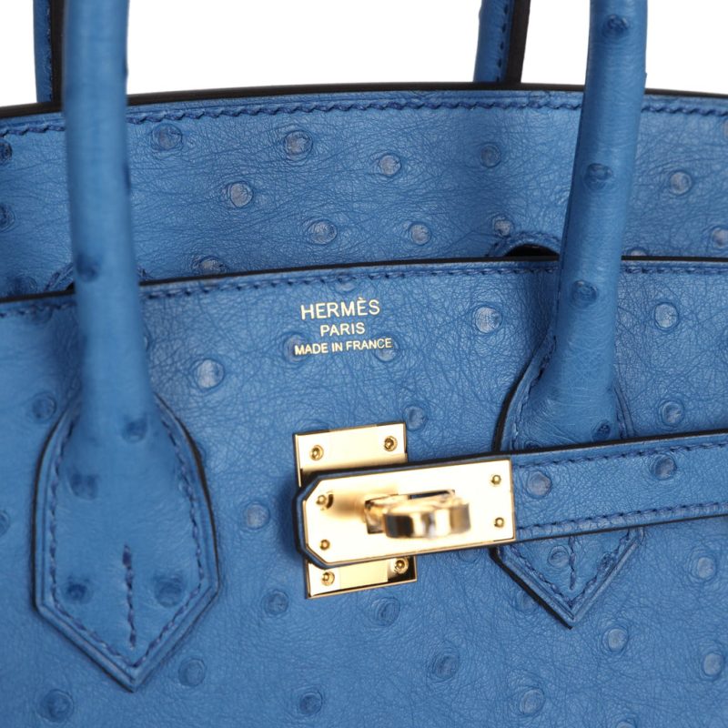 Hermes Birkin Sellier 25 Mykonos Ostrich Gold Hardware - Image 6