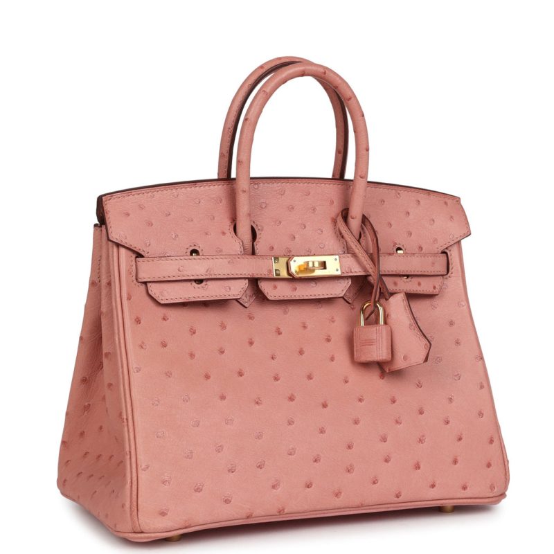 Hermes Birkin 25 Terre Cuite Ostrich Gold Hardware - Image 2