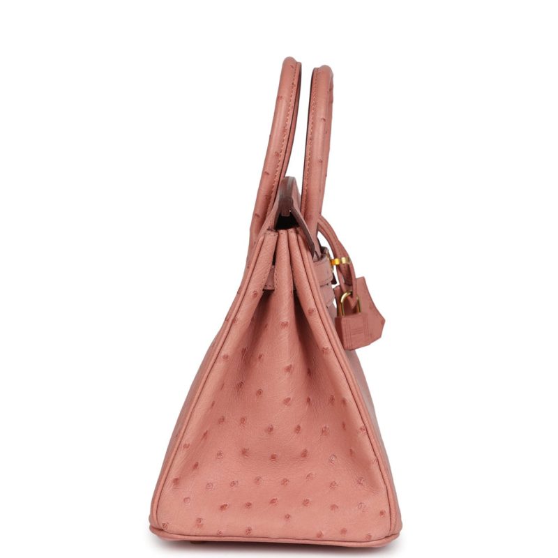 Hermes Birkin 25 Terre Cuite Ostrich Gold Hardware - Image 3