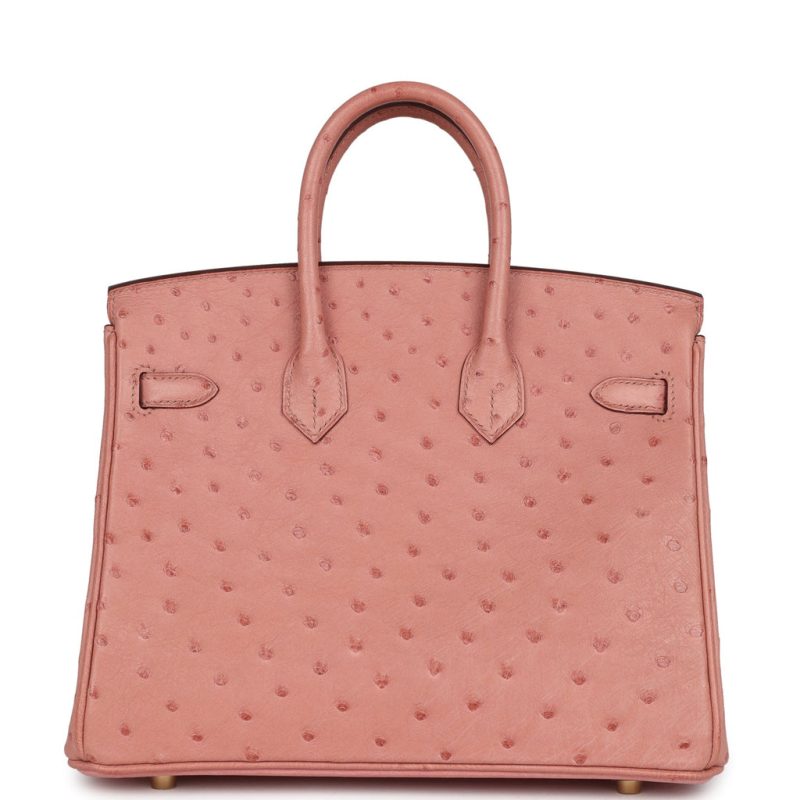 Hermes Birkin 25 Terre Cuite Ostrich Gold Hardware - Image 4