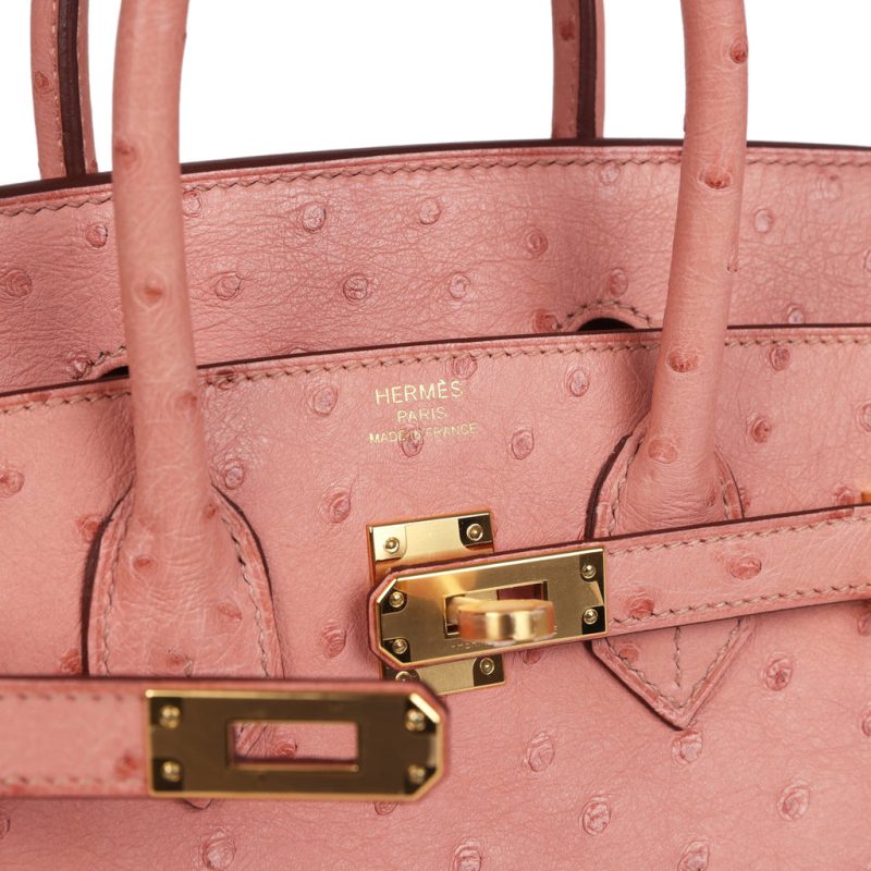 Hermes Birkin 25 Terre Cuite Ostrich Gold Hardware - Image 6