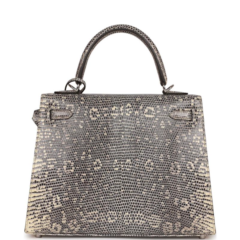 Hermes Kelly Sellier 25 Ombre Varanus Salvator Lizard Palladium Hardware - Image 5