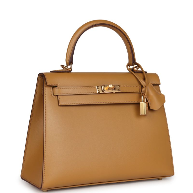 Hermes Kelly Sellier 25 Poussiere Tadelakt Gold Hardware - Image 2