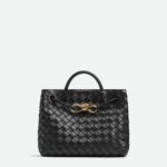 Bottega Veneta Small Andiamo