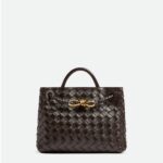 Bottega Veneta Small Andiamo