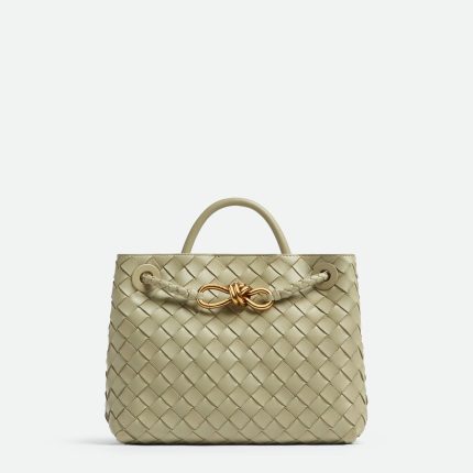 Bottega Veneta Small Andiamo
