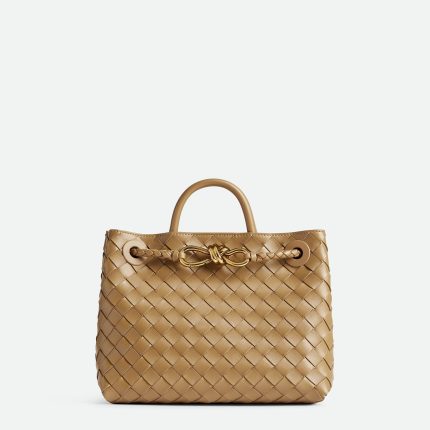 Bottega Veneta Small Andiamo