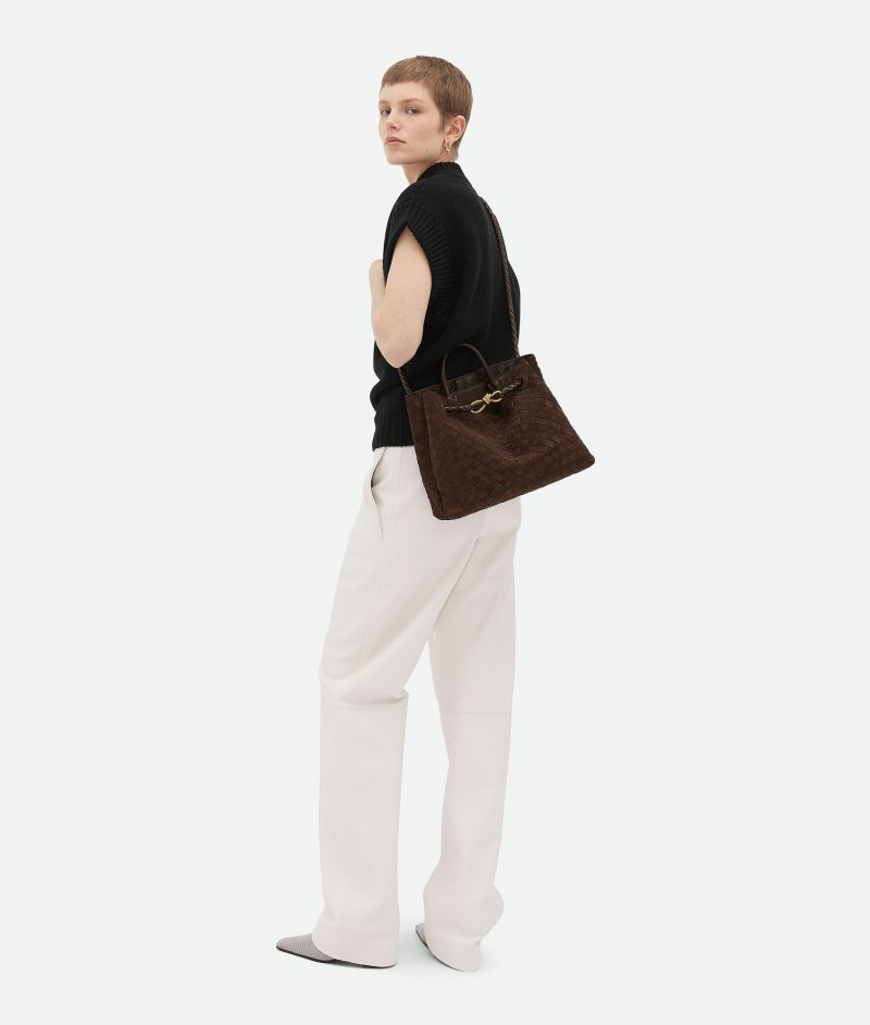 Bottega Veneta Medium Andiamo - Image 5