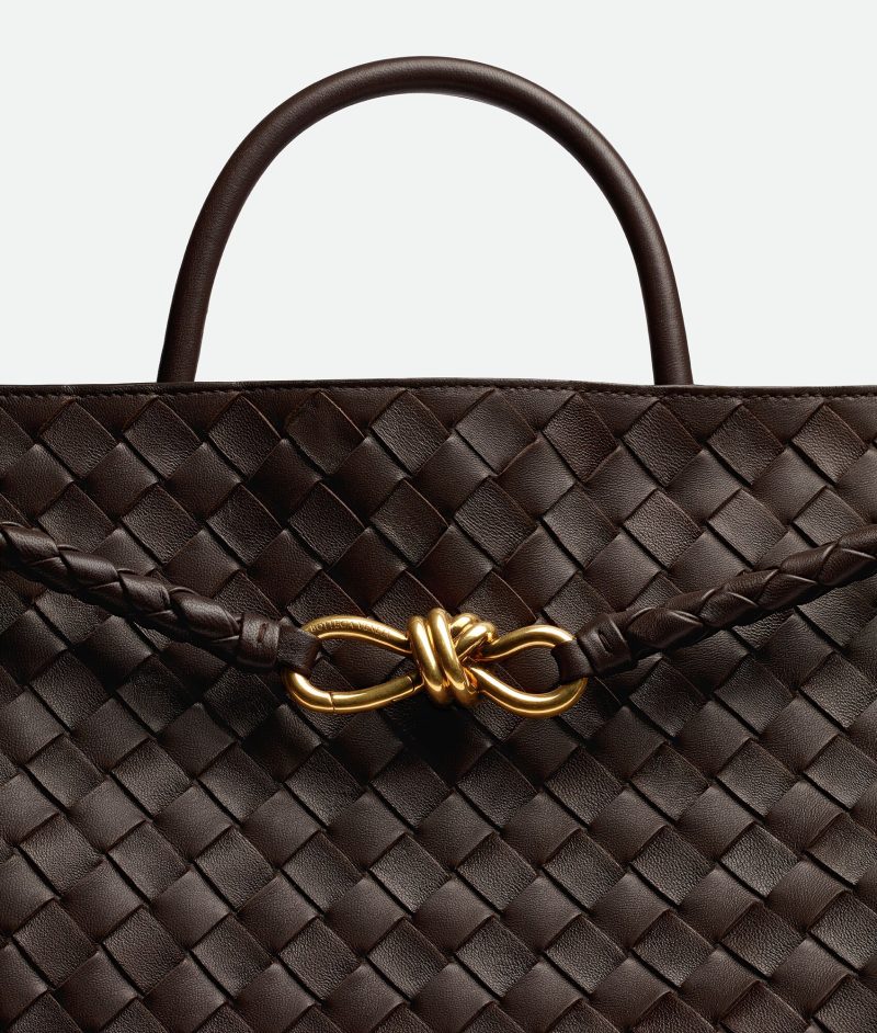 Bottega Veneta Large Andiamo - Image 6