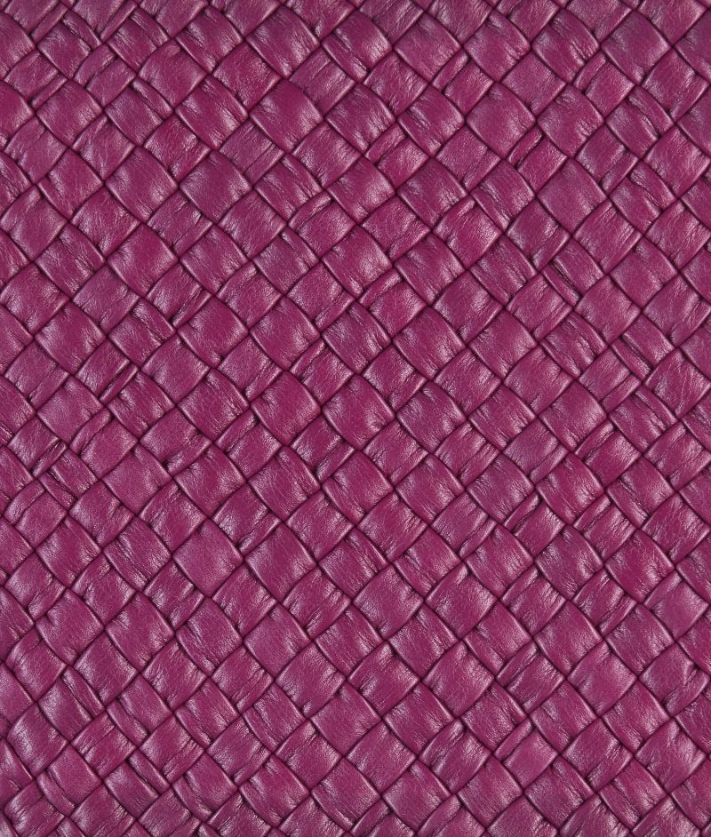 Bottega Veneta Mini Tosca - Image 5