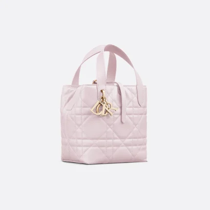 Dior Small Dior Toujours Vertical Tote Bag