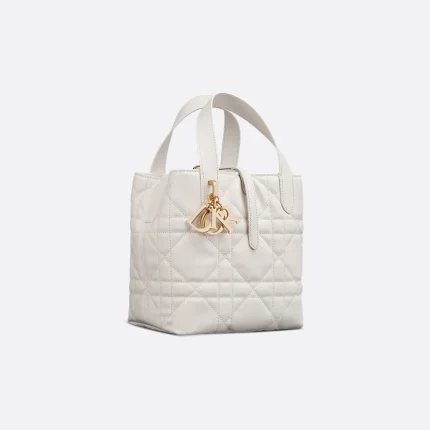 Dior Small Dior Toujours Vertical Tote Bag
