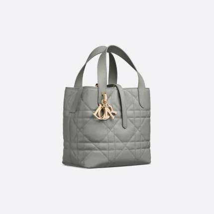 Dior Small Dior Toujours Vertical Tote Bag