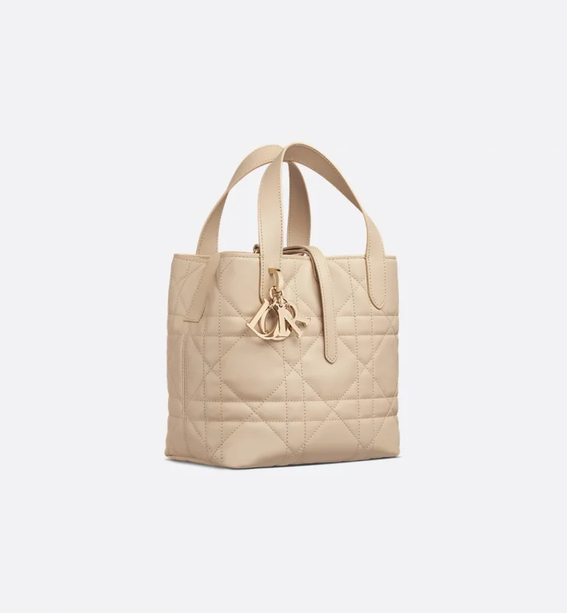 Dior Small Dior Toujours Vertical Tote Bag
