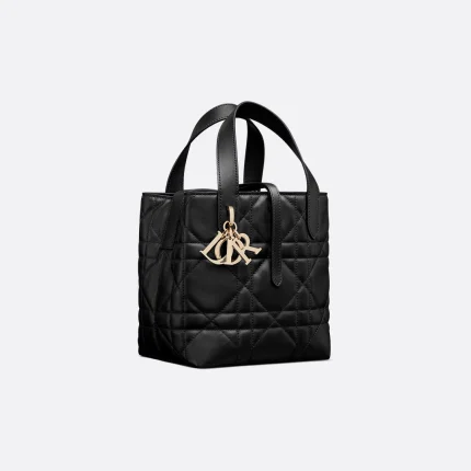 Dior Small Dior Toujours Vertical Tote Bag