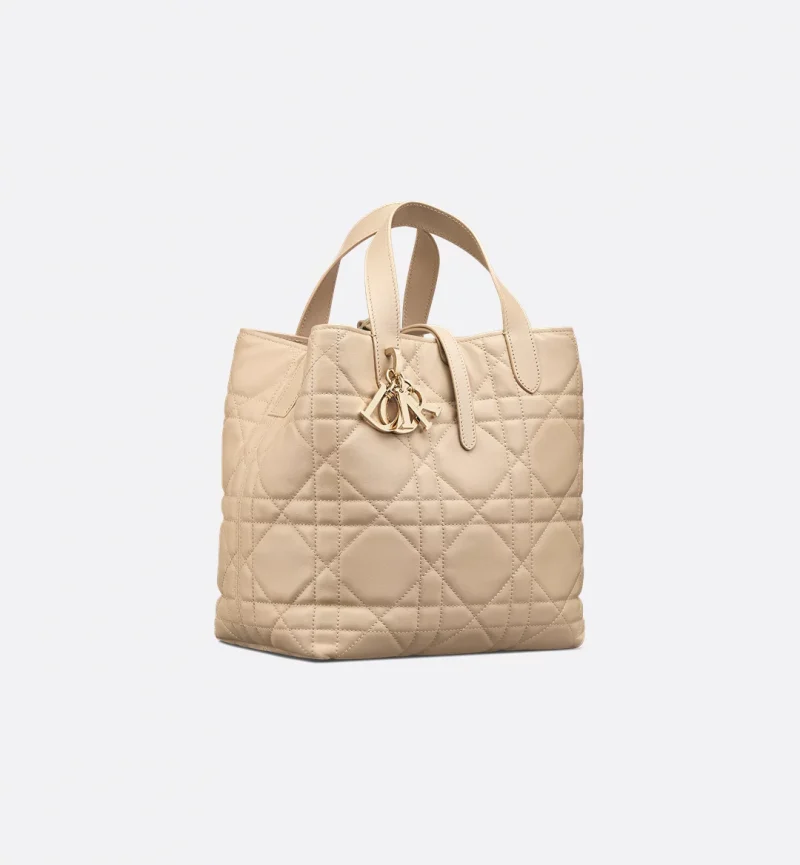 Dior Medium Dior Toujours Vertical Tote Bag