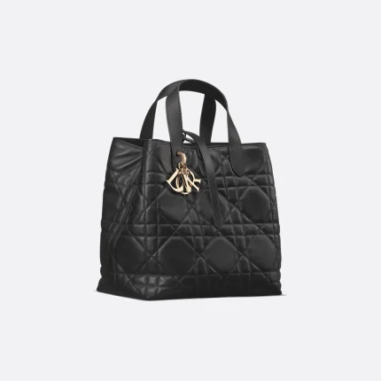 Dior Medium Dior Toujours Vertical Tote Bag