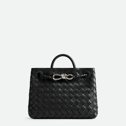Bottega Veneta Small Andiamo