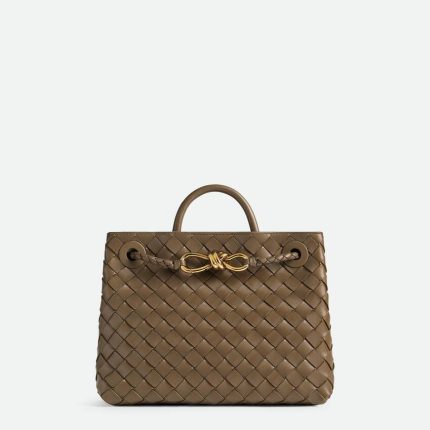 Bottega Veneta Small Andiamo