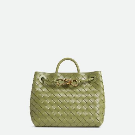 Bottega Veneta Small Andiamo