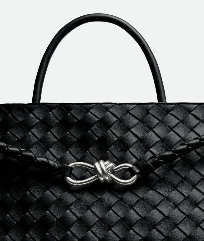 Bottega Veneta Large Andiamo - Image 5