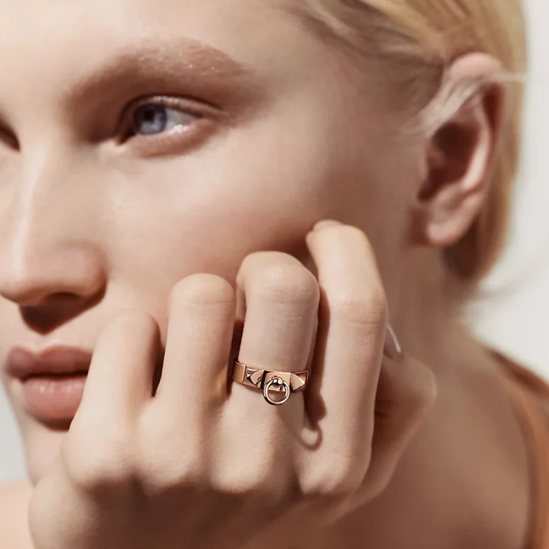 Collier de chien ring, small model - Image 2