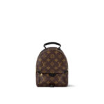 Louis Vuitton Palm Springs Mini M44873